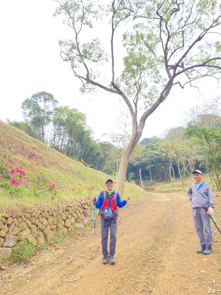 三義銅鑼基石巡禮--伯公龍.大坪凸.模麟坑山.鯉魚石下山.茄苳坑山.老雞隆山.社寮坪山2410072