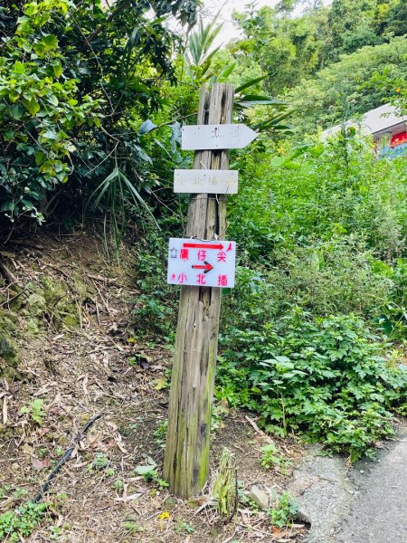 占山+小北插2863655