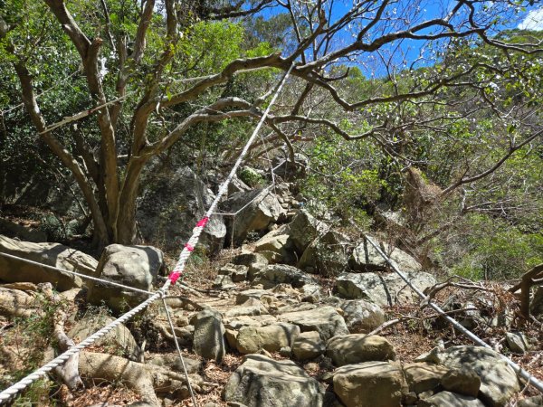 里龍山（小百岳）2788723