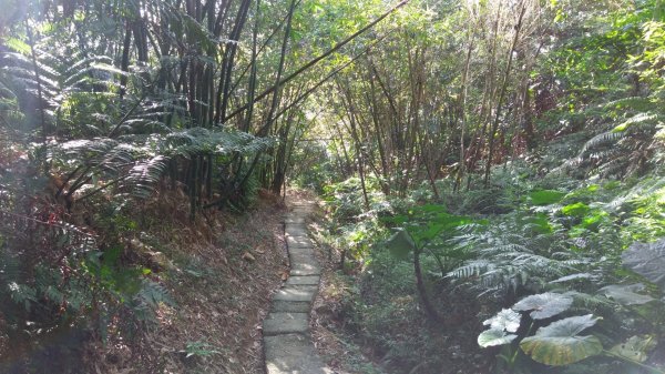 台北大縱走之劍潭山+忠義山445668