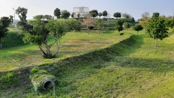 《台中》城市漫遊｜中央公園202203051631062