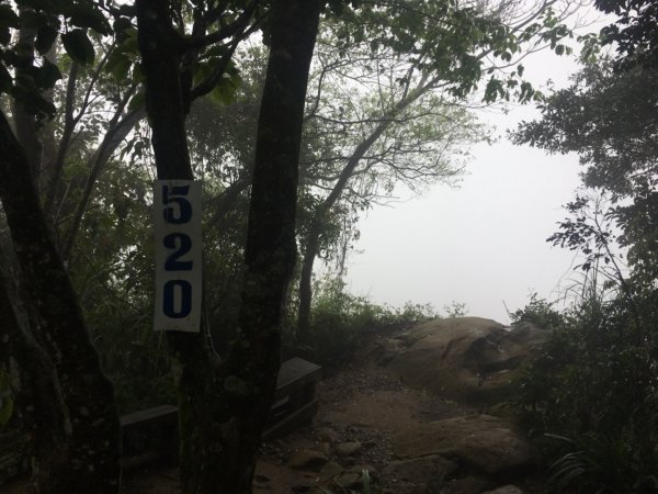 38溪洲山2729729