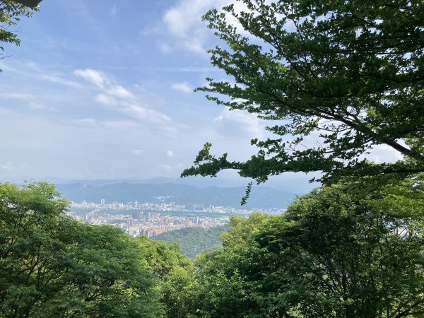 大棟山登山步道2496082