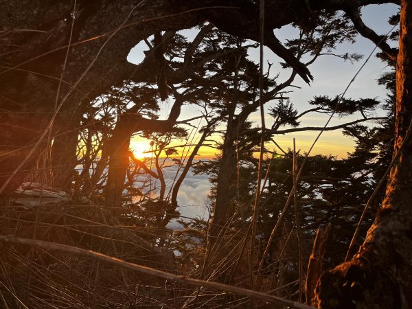 北大武稜線雲海景觀3010138