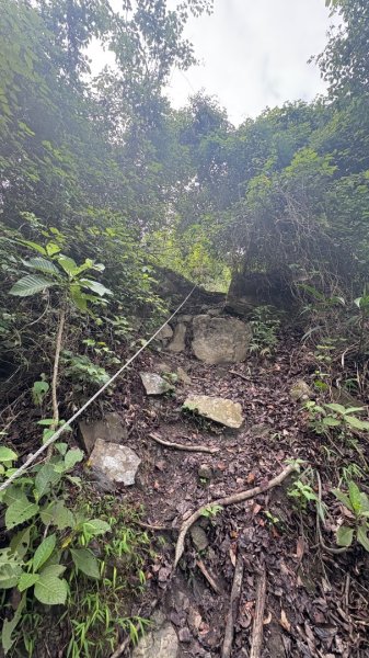 三腳南山2799551