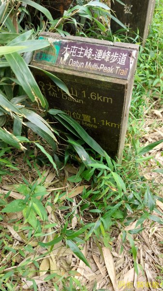 大屯山1827897