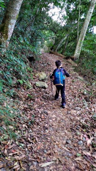 斯可巴步道+馬崙山785766