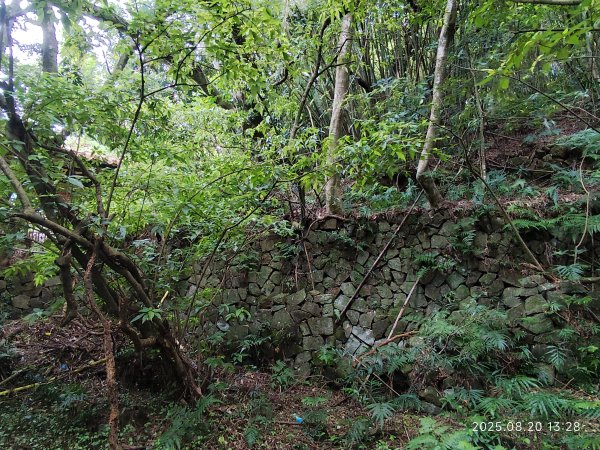 【臺北大縱走 1+2】2-2 大屯主峰-連峰步道→下青礐步道→貴子坑步道→忠義山步道→楓丹白露步道2866915