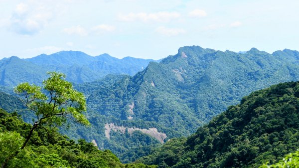 南勢坑小尖,大尖2816050