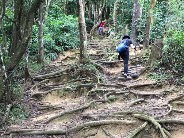 飛鳳山觀日坪連走中坑山388269