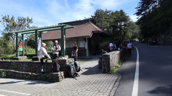 玉山前峰登山健行趣(百岳69號)2251760