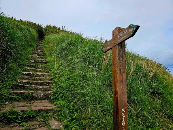 小百岳集起來-大屯山2180828