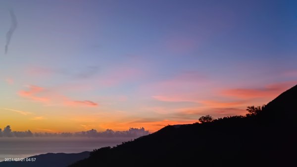 雲山水花鳥蝶 - 天龍國阿伯的日常7/18 & 21、22、292555553