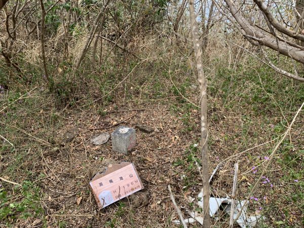 20250405屏東頂楓港山-上楓港山2757497