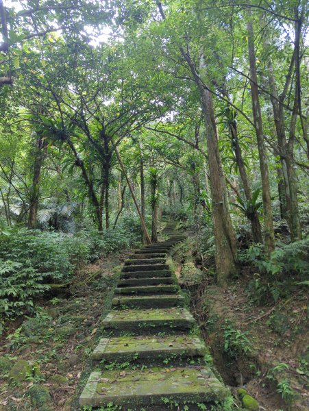 2026.03.14－微笑山線：【五分山系】3015444