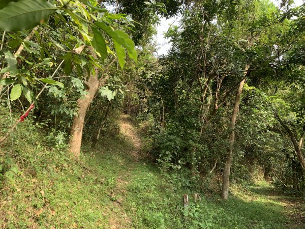 20250419屏東佳平山-虻彈山2767936