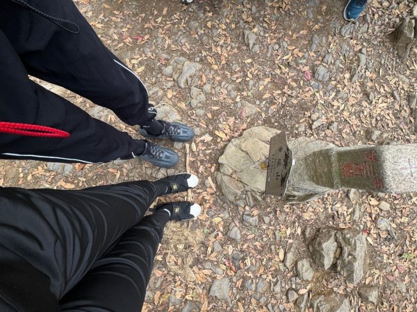 2025/04/04小百岳第022「東眼山」2753252