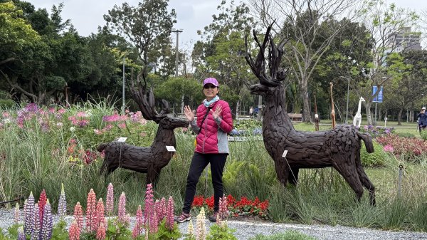 2025台北杜鵑花季｜大安森林公園｜迎曦花丘｜20250307｜峯花雪月2729818