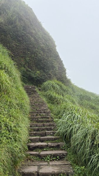 夢幻七星3074413