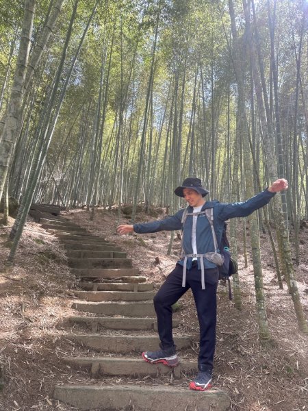 嘉南雲峰、九穹神木3014479