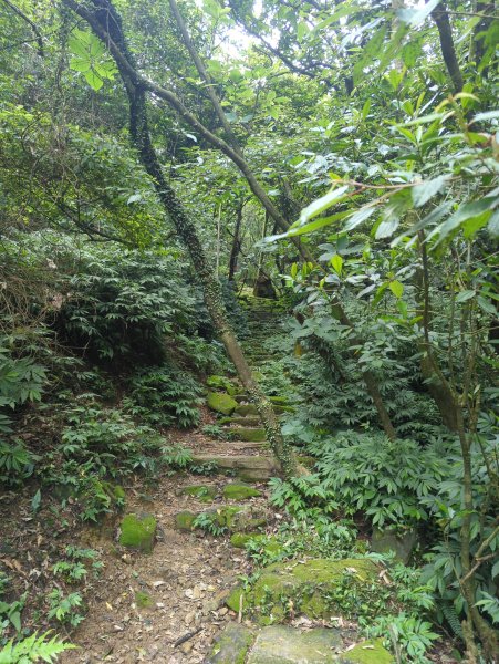 2025.05.03－燦光寮山O行縱走2782449