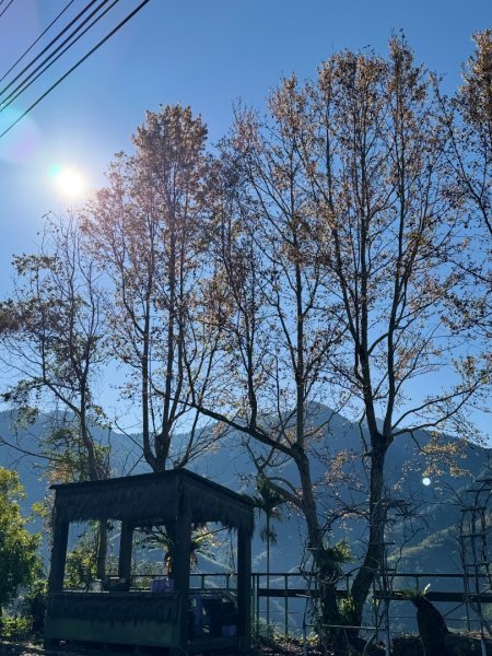 20250216瑞峰瑞里健行2730525