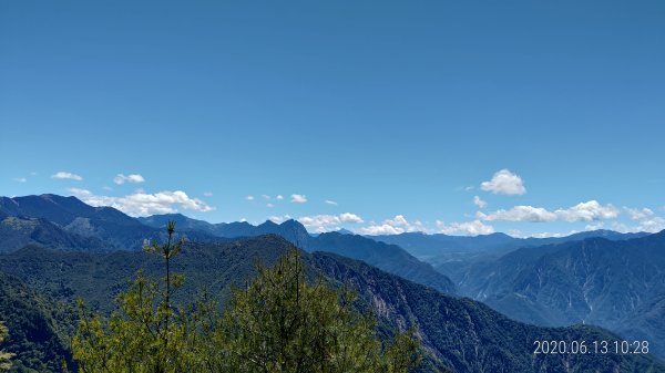 [探訪神木]大雪山國家森林遊樂區...雪山神木