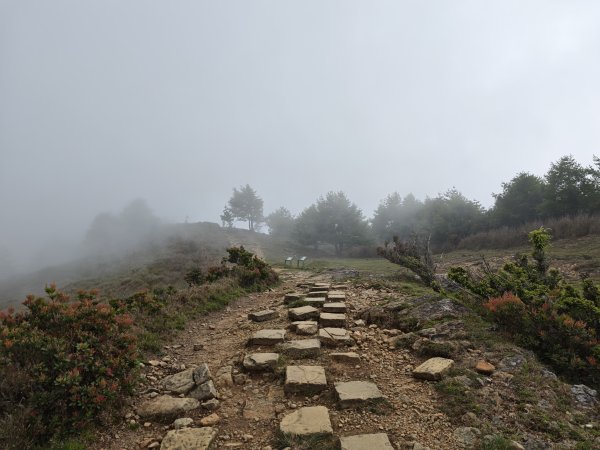 [山海圳_聖山之路_第二段3/4] 2026_0802 麟趾山3109247