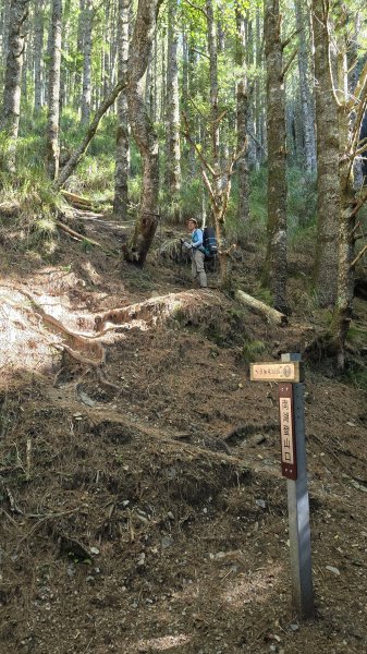 20251003-1006 南湖群峰四天6座百岳2919646