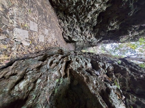 盤龍峽谷，大崗山秘境1275881