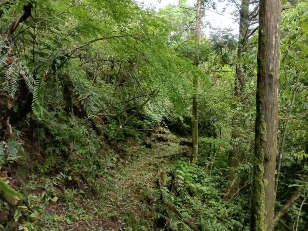 平溪區三功大厝+番子坑山+千階嶺步道O型2781114