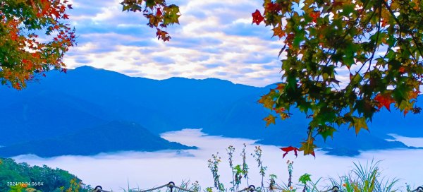 二訪馬拉邦山，解鎖 #琉璃光雲海 #日出雲海  #血月 #斜射光 #楓葉紅了！2668656