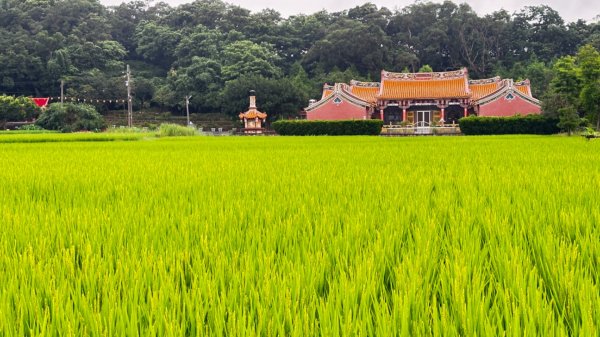 擁抱自然擁有文化2811675