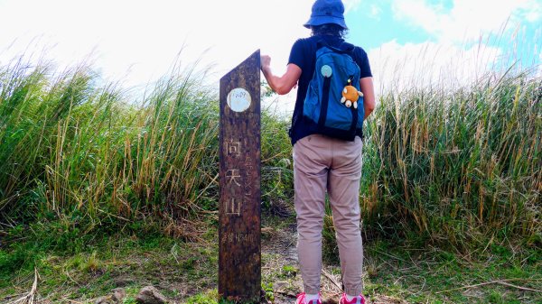 向天蝦不蝦2936818