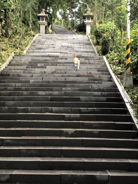 第七段 世界山莊-飛龍步道政大後山1587805