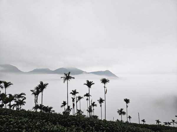20241214竹崎15連峰(四大天王山到大湖尖山路況荒涼)2668992