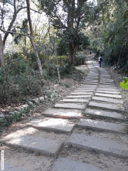 台中太平三汀山登山步道20181021439434