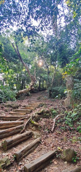 2021-04-11馬那邦山登山步道1346429