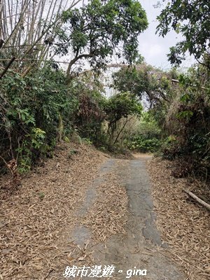 【高雄田寮】小百岳大崗山x大崗山磐龍峽谷步道3013143