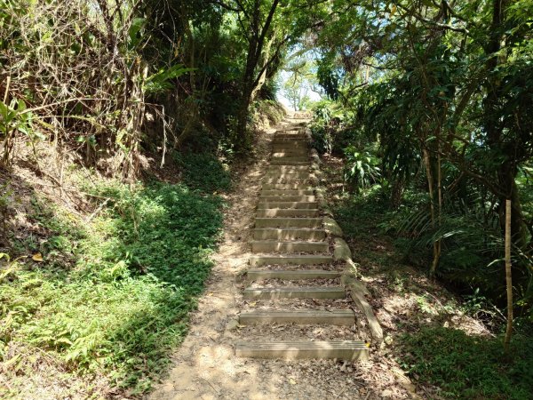 微笑山線之烘爐地任務2836458