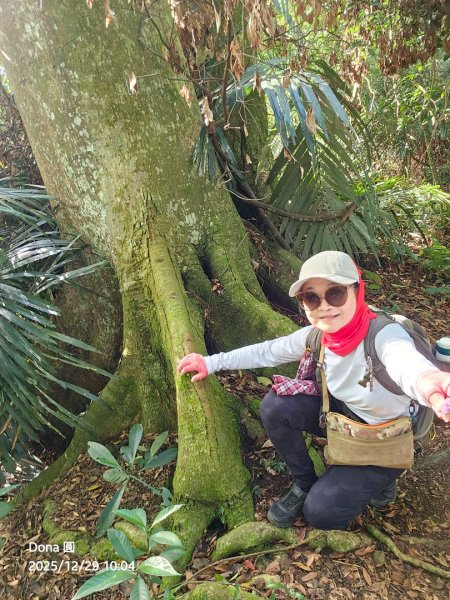 20251229石龜坑山上白石山下白石埤O走+阿姆坪2976658