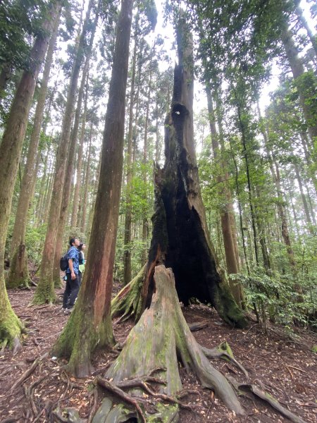 20250705-Ep.01野馬瞰山步道-2025森遊竹縣皮皮獅探險隊2851277