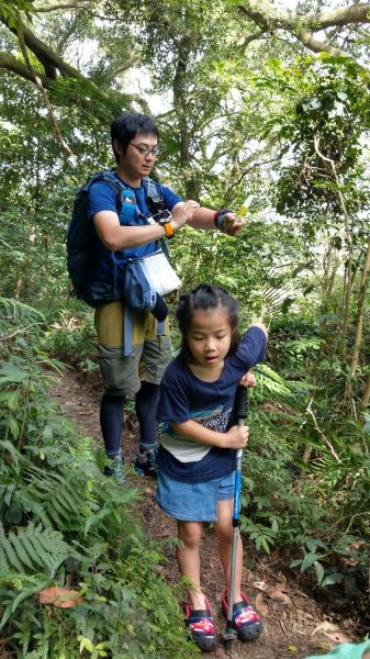 新溪洲山之樂400368