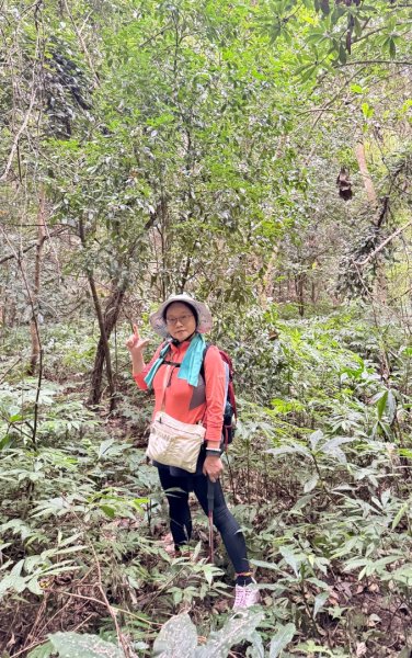 鳴鳳山古道群走鳴鳳山 三湖山吃仙草冰2923297