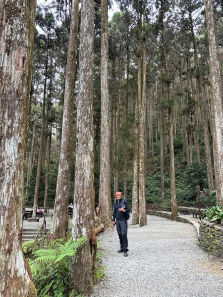 20240131 藤枝森林遊樂區 櫻花公園2421629