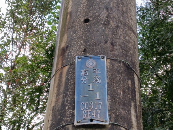 雙溪區石龜福德廟+坪溪古道+梗枋古道+叢雲山+叢雲山北峰+宜1縣縣界O型3019484