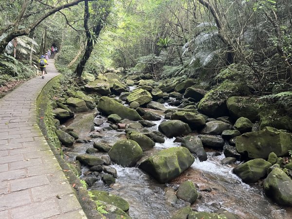 [阿龍尋寶任務]2023_0702_鯉魚山親山步道2273814