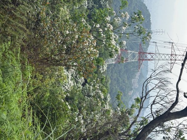 偷吃步之台北天際線第十段2777828