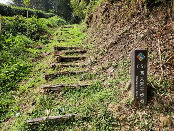 步道巡訪員 l 四大天王山步道第12巡～1212361