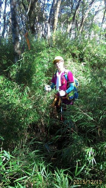20151213尖石鄉屯野台山石麻達山28007